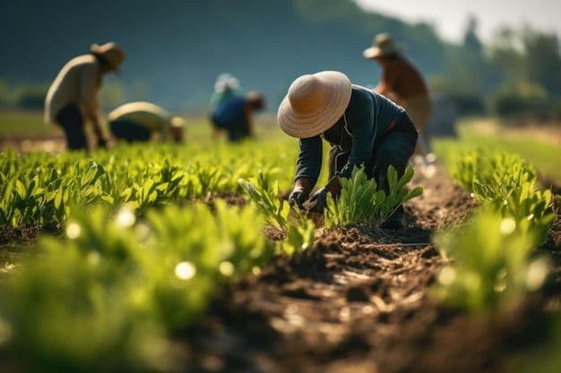 Agroforestry & Natural Resource Management